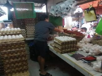 WhatsApp Image 2023 02 21 at 17.08.28