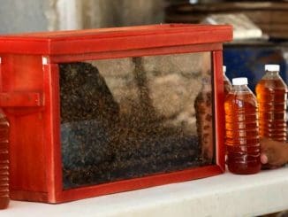 WhatsApp Image 2023 02 21 at 19.51.32