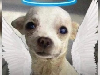 WhatsApp Image 2023 02 22 at 11.30.07