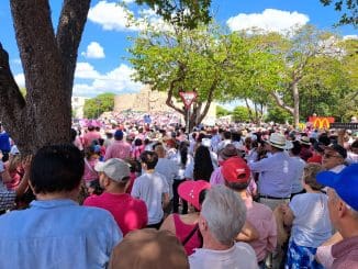 WhatsApp Image 2023 02 26 at 12.46.47 PM