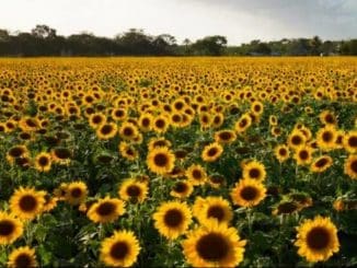 WhatsApp Image 2023 02 27 at 08.47.09