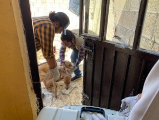 330626098 6118706614858799 6573208121661264028 n