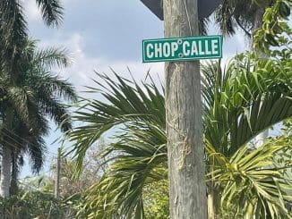 335048227 3318748925121296 5167753906618134902 n