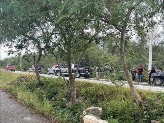 337250705 903334440787683 4241179466853258722 n