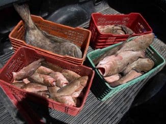 6423164366100020289049696 15fd9a0dff k