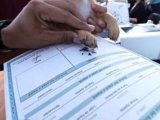 ACTAS LOMITOS 1 scaled