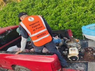 WhatsApp Image 2023 03 06 at 06.29.21