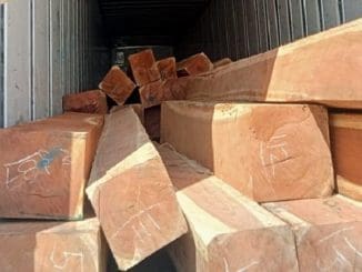 WhatsApp Image 2023 03 07 at 07.17.24