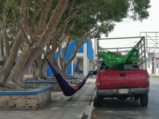 WhatsApp Image 2023 03 08 at 10.10.30