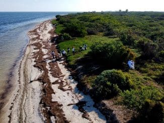 WhatsApp Image 2023 03 10 at 16.50.48