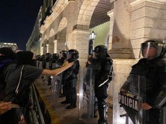 WhatsApp Image 2023 03 11 at 09.33.16