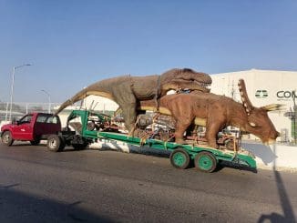 WhatsApp Image 2023 03 13 at 07.31.26