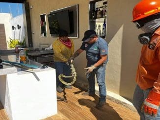 WhatsApp Image 2023 03 13 at 14.26.49