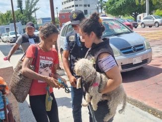 WhatsApp Image 2023 03 16 at 12.35.58