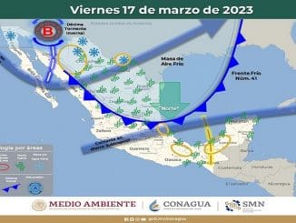 WhatsApp Image 2023 03 17 at 06.22.16