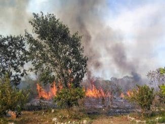 WhatsApp Image 2023 03 17 at 06.25.46