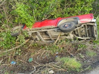 WhatsApp Image 2023 03 17 at 11.41.38