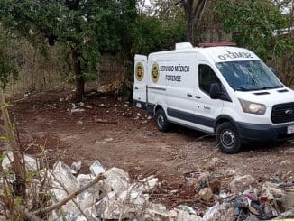 WhatsApp Image 2023 03 23 at 15.30.16