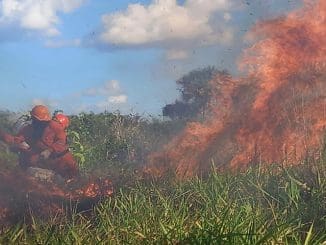 WhatsApp Image 2023 03 24 at 16.31.20