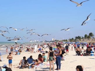 WhatsApp Image 2023 03 27 at 06.12.16