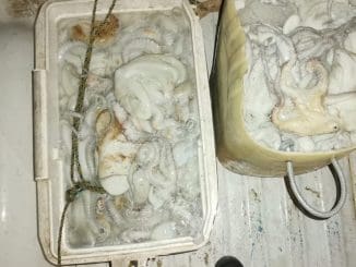 WhatsApp Image 2023 03 27 at 07.46.08