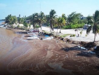 WhatsApp Image 2023 03 27 at 11.20.20