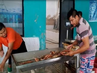 WhatsApp Image 2023 03 29 at 16.03.03