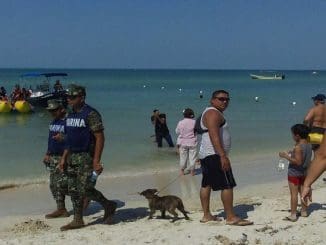 WhatsApp Image 2023 03 29 at 19.43.10