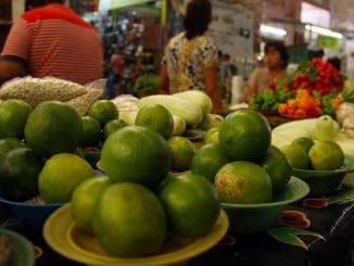 WhatsApp Image 2023 03 29 at 19.44.04