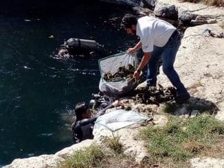 WhatsApp Image 2023 03 31 at 08.39.43