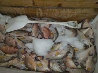 E19a21c2 cbf7 470e b4f9 6a42cb48ffee