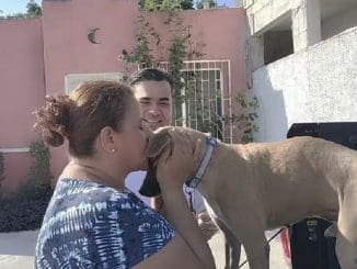 En chichen deambulaba chino