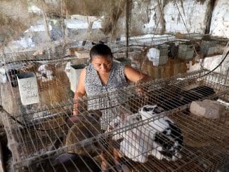 1c3bfba6 e4e7 4205 a8df fbe67c54f86f