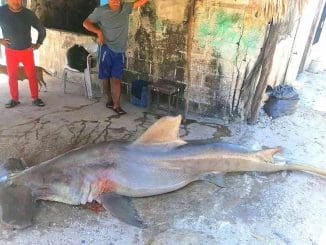 338476746 184451521026254 6307308103943917139 n