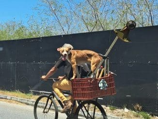 341763966 757578042746871 5832958898903327647 n