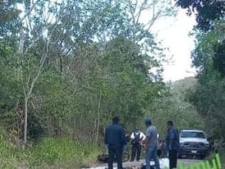 342368176 1690504961379771 735437948689250094 n