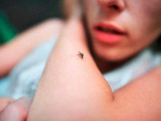 55B9E617 2CEC 4675 85F6 B647671DB686 1160x700