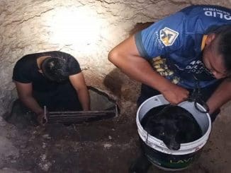 5fdbecfd 1839 4cbc bae3 422f7709f53e