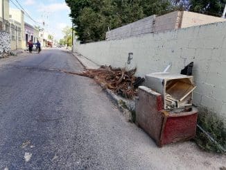 875bf78f 9b8a 4d5c 84eb c3b5cc30b596