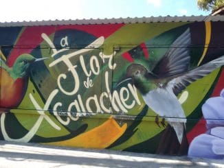 8edda181 30f3 4c11 8eb0 7c70b6974341