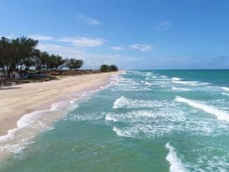 WhatsApp Image 2023 04 01 at 11.04.35