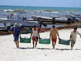 WhatsApp Image 2023 04 01 at 13.32.41