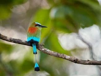 WhatsApp Image 2023 04 01 at 14.00.51