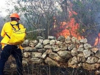 WhatsApp Image 2023 04 03 at 12.11.43