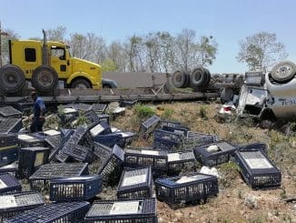 WhatsApp Image 2023 04 05 at 13.21.37