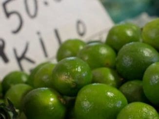 WhatsApp Image 2023 04 06 at 10.15.48