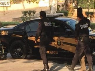 WhatsApp Image 2023 04 07 at 11.20.44