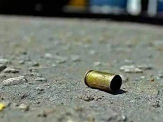 WhatsApp Image 2023 04 08 at 11.42.44