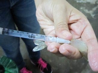 WhatsApp Image 2023 04 10 at 09.07.40