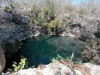 WhatsApp Image 2023 04 11 at 09.49.35